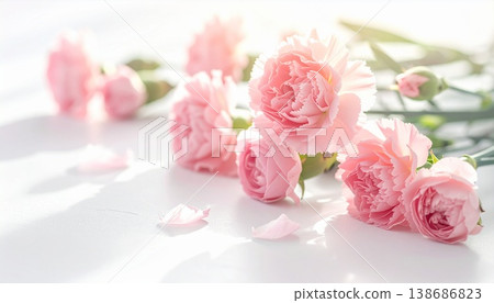 母親節柔美花卉背景 | 康乃馨和玫瑰的粉彩色系素材 138686823