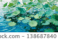 A flat illustration featuring orange, yellow, and white lotus flowers among green lily pads, showcasing a clean, minimalist aesthetic with bold color blocks and soft reflections. 138687840