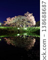 "Illumination of the single cherry tree in Asai" in Kurume City, Fukuoka Prefecture. 138688687