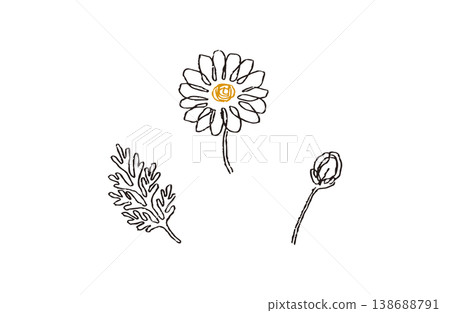 洋甘菊黑色線條畫 x 黃色中心植物插圖套裝 138688791