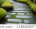 Modern Stone Path through Mossy Garden 138688897