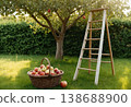 Garden Ladder with Basket of Red Apples 138688900