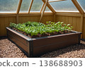 Raised Wooden Garden Bed with Seedlings 138688903