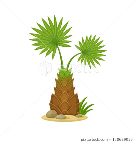 Cartoon tropical palm tree. Vector exotic island plant with natural foliage, fan shaped green leaves, textured brown trunk, sand, stones and grass. Isolated tropical vegetation, rainforest landscape 138689053