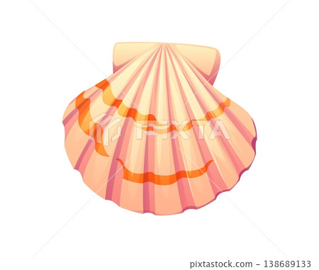 Sea bottom pink scallop cartoon seashell or mussel. Coral reef isolated conch, tropical sea fauna aquatic mussel. Ocean life seashell Sea bottom pink scallop cartoon seashell or mussel. Coral reef isolated conch, tropical sea fauna aquatic mussel. Ocean life seashell 138689133