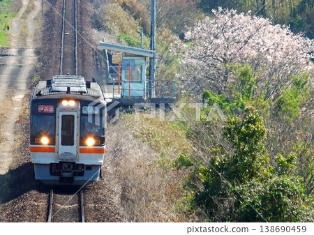 Kiha 75 and cherry blossoms Kiha 75 and cherry blossoms 138690459