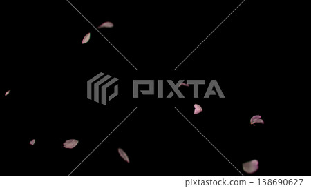 Flying pink cherry blossom petals on black background. Delicate sakura petals floating in the air create a soft, romantic and dreamy spring atmosphere. Flying pink cherry blossom petals on black background. Delicate sakura petals floating in the air create a soft, romantic and dreamy spring atmosphere. 138690627