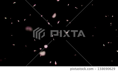 Flying pink cherry blossom petals on black background. Delicate sakura petals floating in the air create a soft, romantic and dreamy spring atmosphere. Flying pink cherry blossom petals on black background. Delicate sakura petals floating in the air create a soft, romantic and dreamy spring atmosphere. 138690629