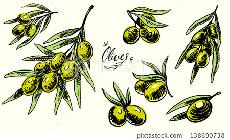 Group of green olives isolated on white background for oil or mediterranean food. Hand drawn Group of green olives isolated on white background for oil or mediterranean food. Hand drawn 138690738