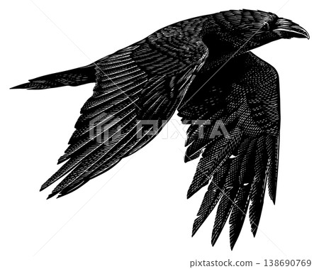 Realistic black crow or raven bird illustration drawing in traditional hand drawn style. Woodcut or 138690769