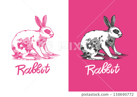 Rabbit or bunny drawing . Hand drawn illustration in traditional line art style. Rabbit or bunny drawing . Hand drawn illustration in traditional line art style. 138690772
