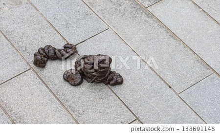 close up of two large pile of cow feces on the tiled pavement which shows urban hygiene and cleanliness concern with copy space 138691148