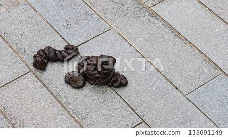 close up of two large pile of cow feces on the tiled pavement which shows urban hygiene and cleanliness concern with copy space 138691149