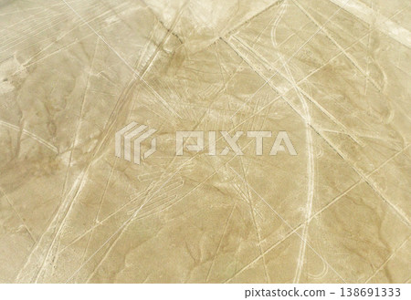 The Nazca Lines - Unesco world heritage site The Nazca Lines - Unesco world heritage site 138691333