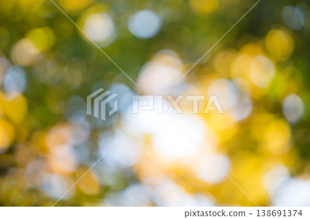 natural green background. background in green colors, the bokeh effect natural green background. background in green colors, the bokeh effect 138691374