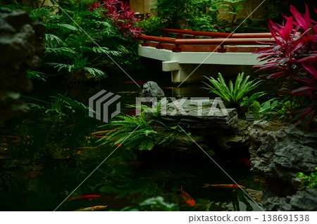 Koi fish or carp fish swimming in a pond. Close-up of group of colorful Koi fish swimming in the pond of a garden. Zen Garden. Animal or pets concept. Koi fish or carp fish swimming in a pond. Close-up of group of colorful Koi fish swimming in the pond of a garden. Zen Garden. Animal or pets concept. 138691538