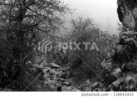 beautiful nature scenery black and white 138691925