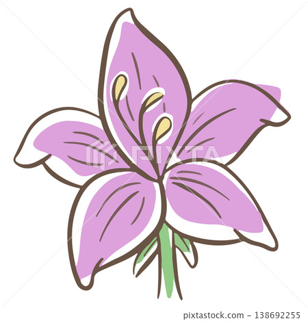 Simple floral flower heads pretty wildflower outline clipart vector illustration Simple floral flower heads pretty wildflower outline clipart vector illustration 138692255