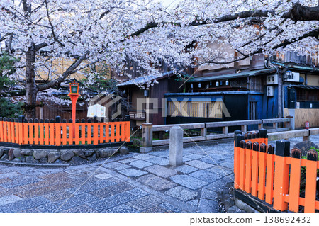 京都祇園白川的辰巳橋和盛開的櫻花（京都府京都市東山區） 138692432