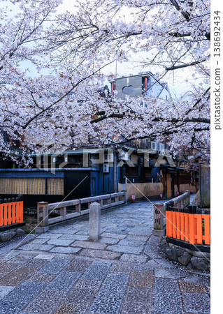京都祇園白川的辰巳橋和盛開的櫻花（京都府京都市東山區） 138692434