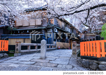 京都祇園白川的辰巳橋和盛開的櫻花（京都府京都市東山區） 138692435