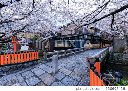 京都祇園白川的辰巳橋和盛開的櫻花（京都府京都市東山區） 138692436