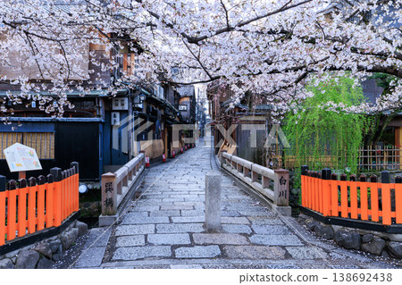 Tatsumi Bridge and cherry blossoms in full bloom in Shirakawa, Gion, Kyoto (Higashiyama Ward, Kyoto City, Kyoto Prefecture) 138692438