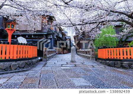 京都祇園白川的辰巳橋和盛開的櫻花（京都府京都市東山區） 138692439