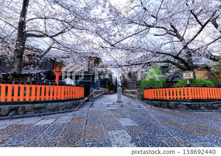 京都祇園白川的辰巳橋和盛開的櫻花（京都府京都市東山區） 138692440