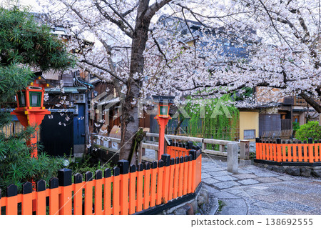 京都祇園白川的辰巳橋和盛開的櫻花（京都府京都市東山區） 138692555