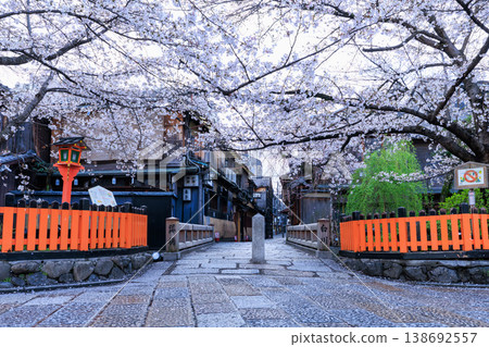 京都祇園白川的辰巳橋和盛開的櫻花（京都府京都市東山區） 138692557