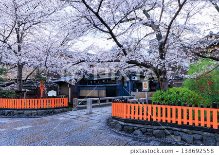 京都祇園白川的辰巳橋和盛開的櫻花（京都府京都市東山區） 138692558