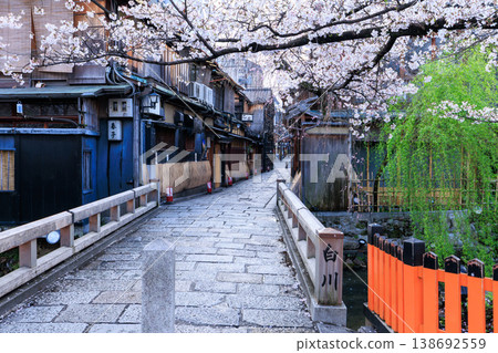 京都祇園白川的辰巳橋和盛開的櫻花（京都府京都市東山區） 138692559