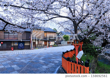 Cherry blossoms in full bloom at Shinbashi, Gion, Kyoto (Higashiyama Ward, Kyoto City, Kyoto Prefecture) Cherry blossoms in full bloom at Shinbashi, Gion, Kyoto (Higashiyama Ward, Kyoto City, Kyoto Prefecture) 138692561