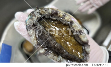 high quality fresh raw abalone high quality fresh raw abalone 138693482