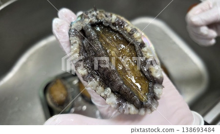 high quality fresh raw abalone high quality fresh raw abalone 138693484