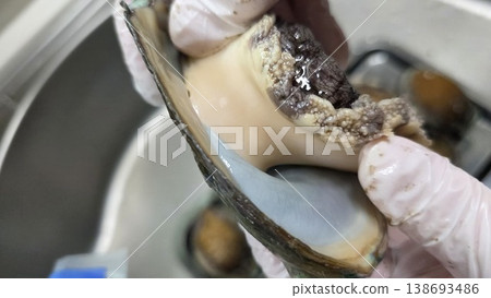 high quality fresh raw abalone high quality fresh raw abalone 138693486