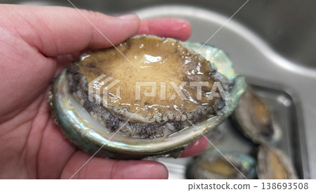 high quality fresh raw abalone high quality fresh raw abalone 138693508