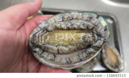 high quality fresh raw abalone high quality fresh raw abalone 138693515