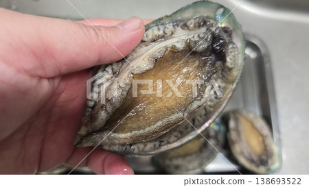 high quality fresh raw abalone high quality fresh raw abalone 138693522