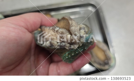 high quality fresh raw abalone 138693523