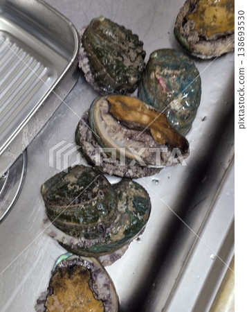 high quality fresh raw abalone high quality fresh raw abalone 138693530