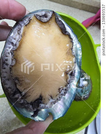 high quality fresh raw abalone high quality fresh raw abalone 138693537