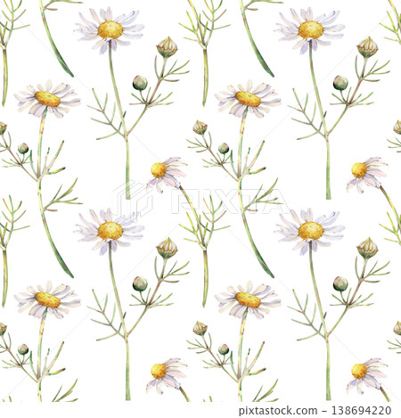 Seamless watercolor chamomile pattern on white. Delicate wild daisy flowers and green stems botanical repeat background. Seamless watercolor chamomile pattern on white. Delicate wild daisy flowers and green stems botanical repeat background. 138694220