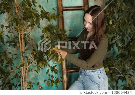 Researcher investigates ficus plant leaves thoroughly in warm environment 138694424