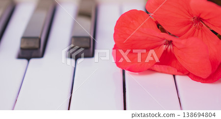 Creative artistic concept of blooming red flowers on piano keyboard, side view with blurred background, musical education and spring inspiration 138694804