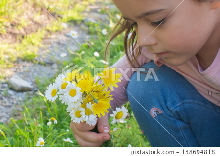 little girl sitting in a meadow picking wildflowers: carefree summer childhood activity little girl sitting in a meadow picking wildflowers: carefree summer childhood activity 138694818