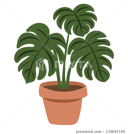 Large monstera houseplant in terracotta pot Large monstera houseplant in terracotta pot 138695199