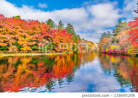 A beautiful autumn day at Kumoba Pond in Karuizawa, with vibrant autumn leaves reflected on the water's surface against a clear blue sky. A beautiful autumn day at Kumoba Pond in Karuizawa, with vibrant autumn leaves reflected on the water's surface against a clear blue sky. 138695209