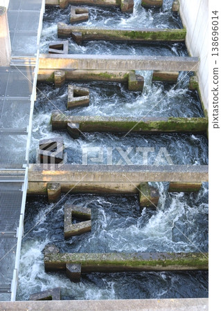 A fish ladder is a concrete structure containing bubbling water used to pass fish through a hydroelectric power station. 138696014